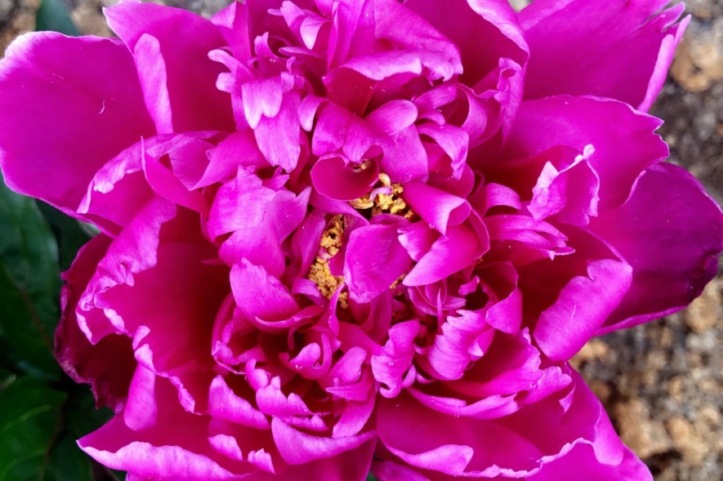 Beyond Coincidence: God’s Fingerprints Cover my&nbsp;Life