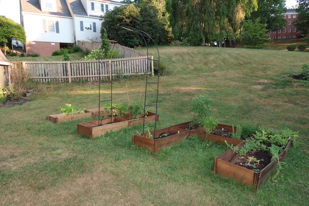 Starting Fresh: Setting Up Our Vegetable&nbsp;Garden